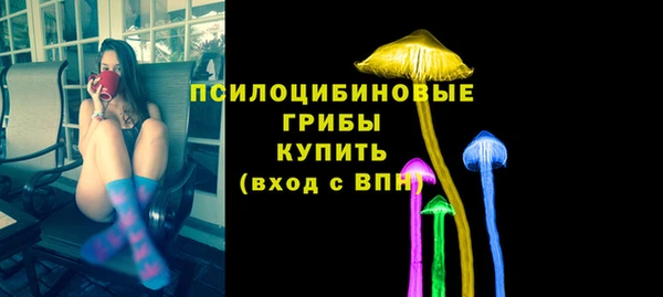 PSILOCYBIN Волосово