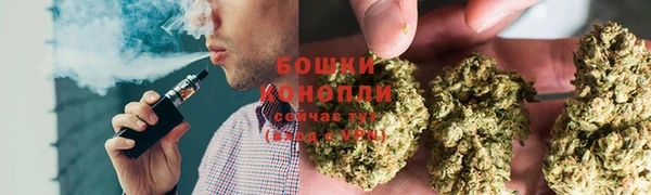 PSILOCYBIN Волосово